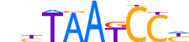 PITX1.H12INVIVO.0.PSM.A reverse-complement motif logo (PITX1 gene, PITX1_HUMAN protein)