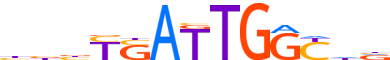 PKNX1.H12INVIVO.0.P.B motif logo (PKNOX1 gene, PKNX1_HUMAN protein)