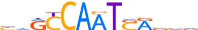 PKNX1.H12INVIVO.0.P.B reverse-complement motif logo (PKNOX1 gene, PKNX1_HUMAN protein)