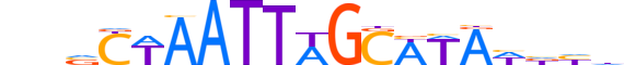 PO2F3.H12INVIVO.1.S.C reverse-complement motif logo (POU2F3 gene, PO2F3_HUMAN protein)