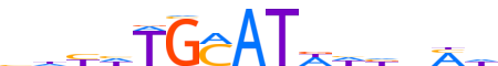 PO3F1.H12INVIVO.0.P.B reverse-complement motif logo (POU3F1 gene, PO3F1_HUMAN protein)