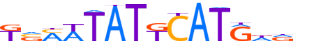 PO3F1.H12INVIVO.1.PS.A reverse-complement motif logo (POU3F1 gene, PO3F1_HUMAN protein)