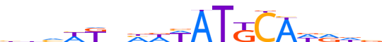 PO3F3.H12INVIVO.1.P.C reverse-complement motif logo (POU3F3 gene, PO3F3_HUMAN protein)