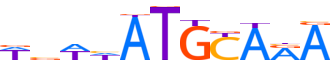 PO5F1.H12INVIVO.1.P.B motif logo (POU5F1 gene, PO5F1_HUMAN protein)