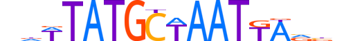 PO5F1.H12INVIVO.2.SM.B motif logo (POU5F1 gene, PO5F1_HUMAN protein)