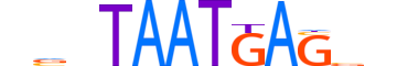 PO6F1.H12INVIVO.0.SM.D motif logo (POU6F1 gene, PO6F1_HUMAN protein)