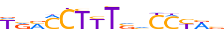 PPARD.H12INVIVO.0.PSM.A reverse-complement motif logo (PPARD gene, PPARD_HUMAN protein)