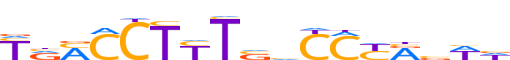 PPARG.H12INVIVO.0.P.B reverse-complement motif logo (PPARG gene, PPARG_HUMAN protein)