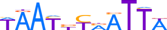 PROP1.H12INVIVO.0.PSM.A reverse-complement motif logo (PROP1 gene, PROP1_HUMAN protein)