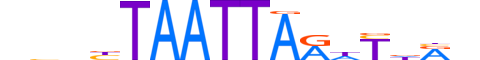 PRRX2.H12INVIVO.1.S.D motif logo (PRRX2 gene, PRRX2_HUMAN protein)