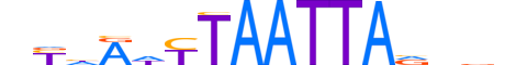 PRRX2.H12INVIVO.1.S.D reverse-complement motif logo (PRRX2 gene, PRRX2_HUMAN protein)