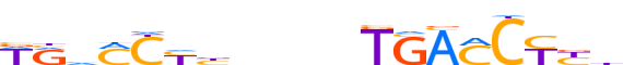 RARA.H12INVIVO.1.P.B reverse-complement motif logo (RARA gene, RARA_HUMAN protein)