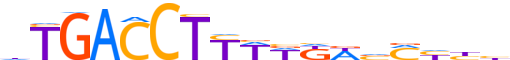 RARG.H12INVIVO.3.S.B reverse-complement motif logo (RARG gene, RARG_HUMAN protein)