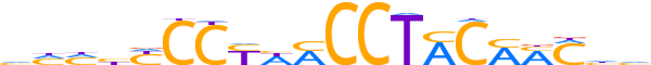 RFX3.H12INVIVO.2.S.B reverse-complement motif logo (RFX3 gene, RFX3_HUMAN protein)