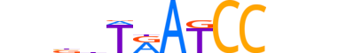 RHXF1.H12INVIVO.0.SM.D reverse-complement motif logo (RHOXF1 gene, RHXF1_HUMAN protein)