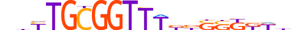 RUNX3.H12INVIVO.1.S.B motif logo (RUNX3 gene, RUNX3_HUMAN protein)