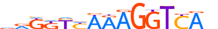 RXRA.H12INVIVO.2.SM.B motif logo (RXRA gene, RXRA_HUMAN protein)