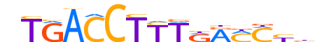 RXRA.H12INVIVO.2.SM.B reverse-complement motif logo (RXRA gene, RXRA_HUMAN protein)