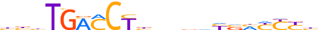 RXRA.H12INVIVO.3.P.B reverse-complement motif logo (RXRA gene, RXRA_HUMAN protein)