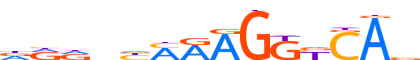 RXRB.H12INVIVO.0.P.C motif logo (RXRB gene, RXRB_HUMAN protein)