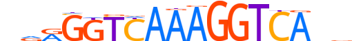 RXRB.H12INVIVO.1.SM.B motif logo (RXRB gene, RXRB_HUMAN protein)