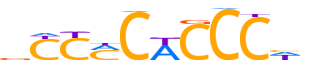 SALL4.H12INVIVO.0.P.B reverse-complement motif logo (SALL4 gene, SALL4_HUMAN protein)