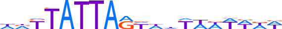 SATB1.H12INVIVO.0.P.B reverse-complement motif logo (SATB1 gene, SATB1_HUMAN protein)