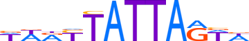 SATB1.H12INVIVO.1.P.B reverse-complement motif logo (SATB1 gene, SATB1_HUMAN protein)