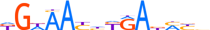 SIX2.H12INVIVO.0.P.B motif logo (SIX2 gene, SIX2_HUMAN protein)