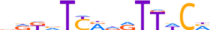 SIX2.H12INVIVO.0.P.B reverse-complement motif logo (SIX2 gene, SIX2_HUMAN protein)