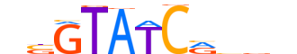 SIX2.H12INVIVO.2.SM.B reverse-complement motif logo (SIX2 gene, SIX2_HUMAN protein)