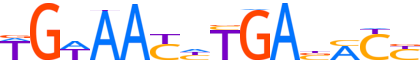 SIX4.H12INVIVO.0.P.B motif logo (SIX4 gene, SIX4_HUMAN protein)