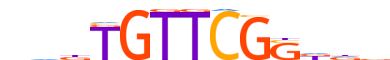 SOX11.H12INVIVO.1.S.B motif logo (SOX11 gene, SOX11_HUMAN protein)