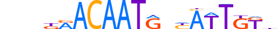 SOX14.H12INVIVO.0.SM.D reverse-complement motif logo (SOX14 gene, SOX14_HUMAN protein)