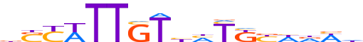 SOX2.H12INVIVO.1.P.B motif logo (SOX2 gene, SOX2_HUMAN protein)