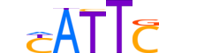 SOX2.H12INVIVO.2.S.B motif logo (SOX2 gene, SOX2_HUMAN protein)