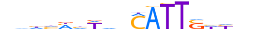 SOX21.H12INVIVO.0.S.D motif logo (SOX21 gene, SOX21_HUMAN protein)