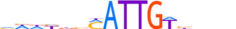 SOX3.H12INVIVO.1.S.C motif logo (SOX3 gene, SOX3_HUMAN protein)