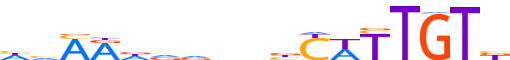 SOX8.H12INVIVO.0.PSM.A motif logo (SOX8 gene, SOX8_HUMAN protein)