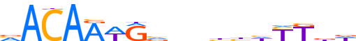 SOX8.H12INVIVO.0.PSM.A reverse-complement motif logo (SOX8 gene, SOX8_HUMAN protein)