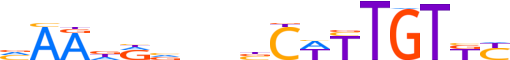 SOX9.H12INVIVO.0.PS.A motif logo (SOX9 gene, SOX9_HUMAN protein)