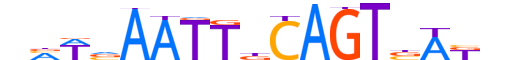 SOX9.H12INVIVO.2.S.B motif logo (SOX9 gene, SOX9_HUMAN protein)