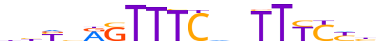 STAT2.H12INVIVO.0.P.B reverse-complement motif logo (STAT2 gene, STAT2_HUMAN protein)