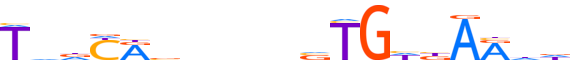 TBX19.H12INVIVO.0.PS.A motif logo (TBX19 gene, TBX19_HUMAN protein)