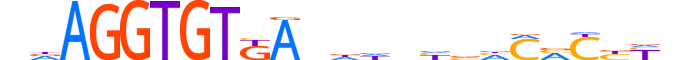 TBX4.H12INVIVO.1.S.B motif logo (TBX4 gene, TBX4_HUMAN protein)