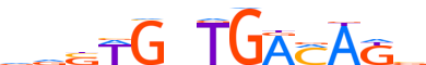 TBX5.H12INVIVO.1.P.B motif logo (TBX5 gene, TBX5_HUMAN protein)