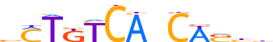 TBX5.H12INVIVO.1.P.B reverse-complement motif logo (TBX5 gene, TBX5_HUMAN protein)