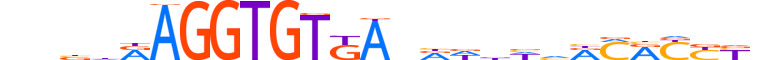 TBX5.H12INVIVO.2.S.B motif logo (TBX5 gene, TBX5_HUMAN protein)