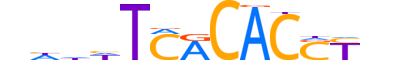 TBXT.H12INVIVO.1.PSM.A reverse-complement motif logo (TBXT gene, TBXT_HUMAN protein)