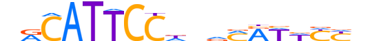 TEAD3.H12INVIVO.1.S.B motif logo (TEAD3 gene, TEAD3_HUMAN protein)